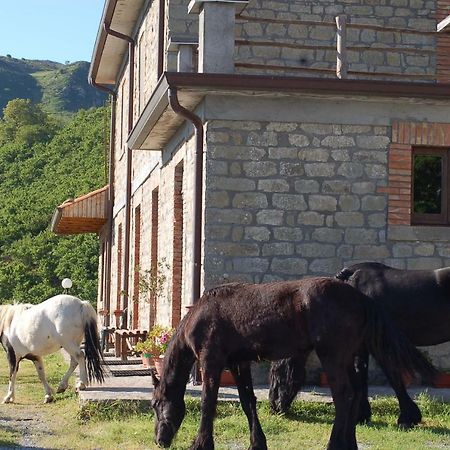 Agriturismo Il Capitano Villa Floresta Eksteriør bilde