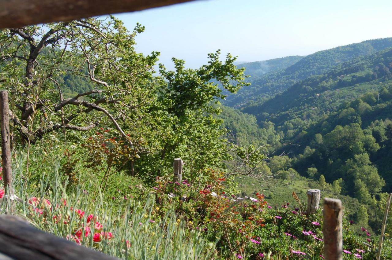 Agriturismo Il Capitano Villa Floresta Eksteriør bilde