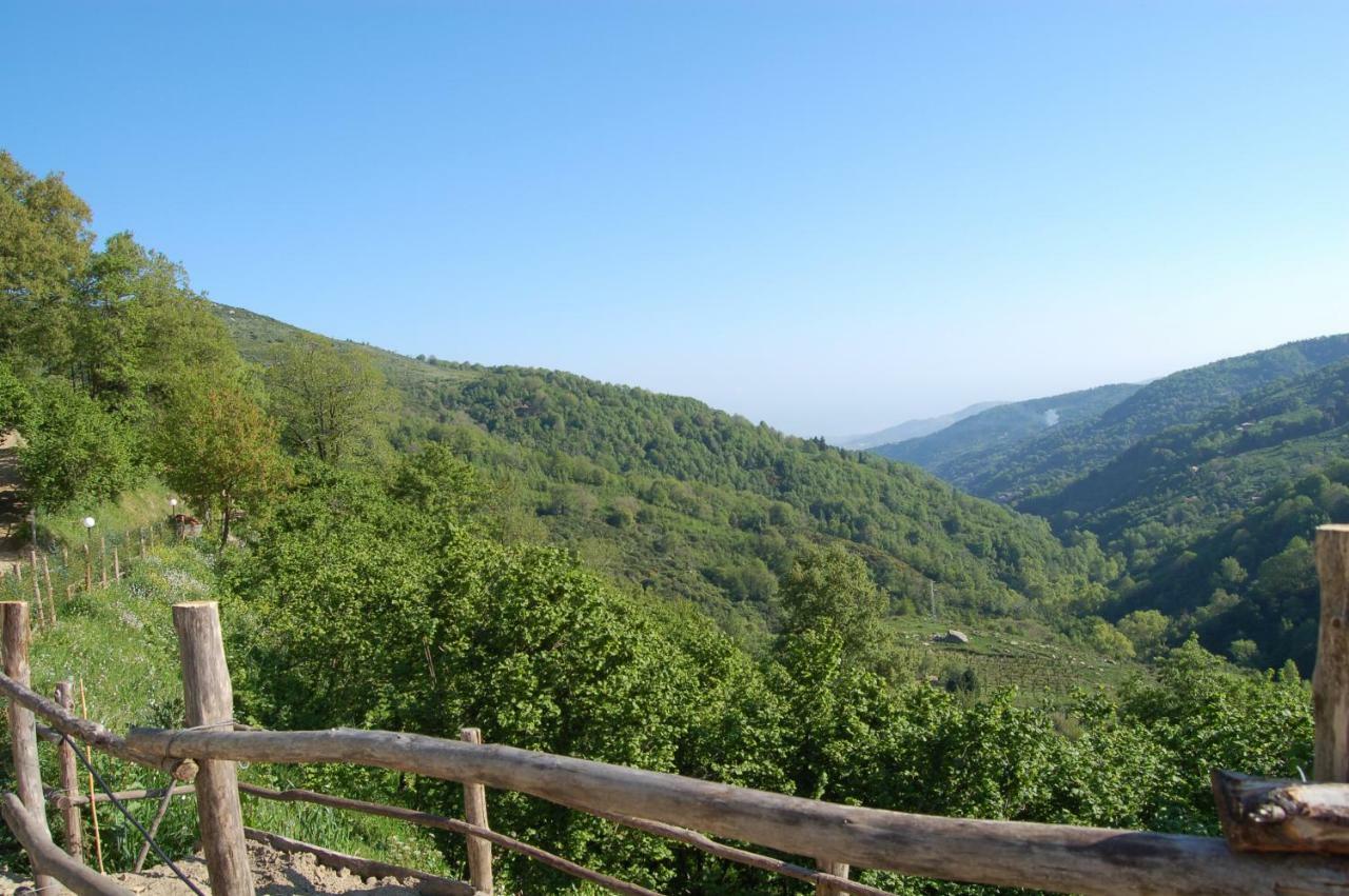 Agriturismo Il Capitano Villa Floresta Eksteriør bilde